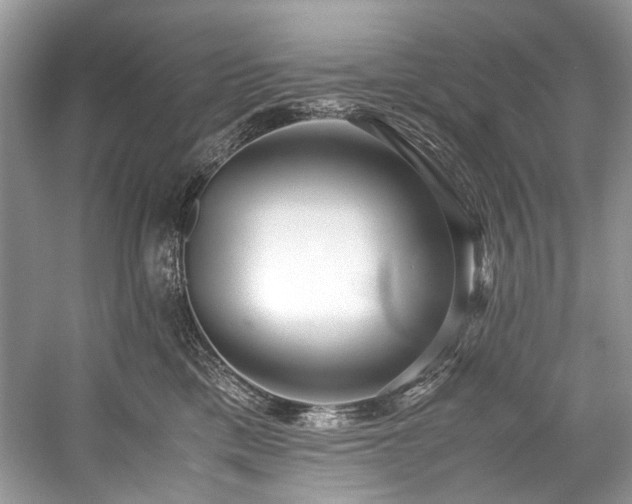 X0000059090425200510101149