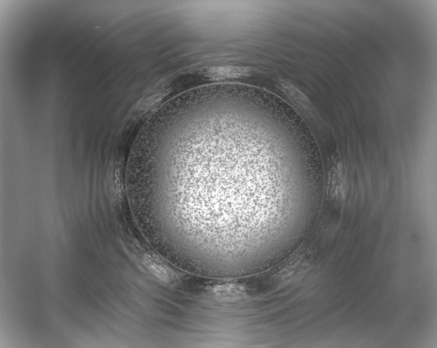 X0000059090426200510101149