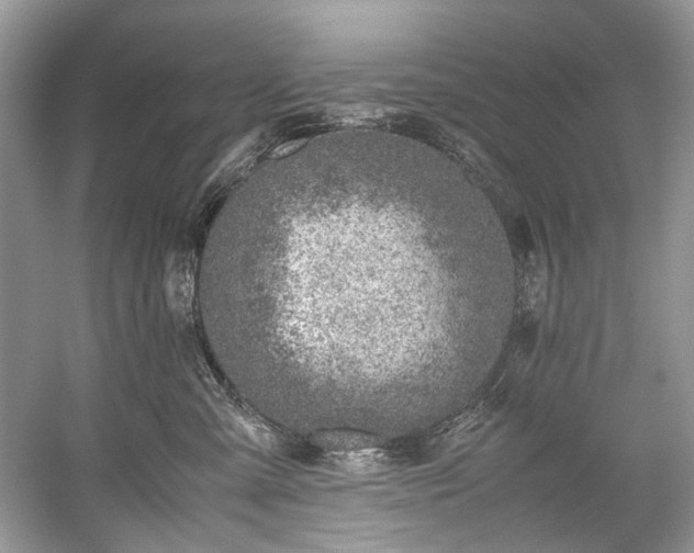 X0000059090427200510101149