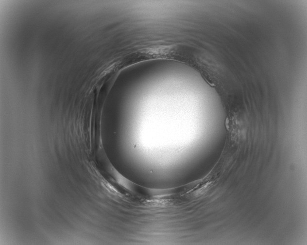 X0000059090428200510101149