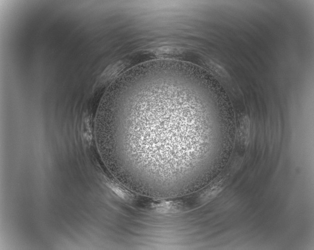 X0000059090430200510101149