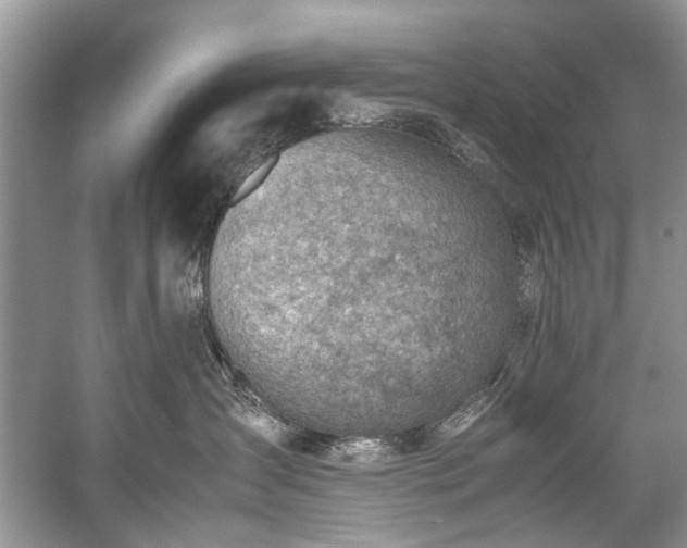 X0000059090431200510101149