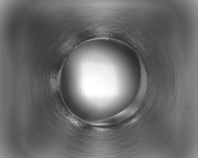 X0000059090432200510101149