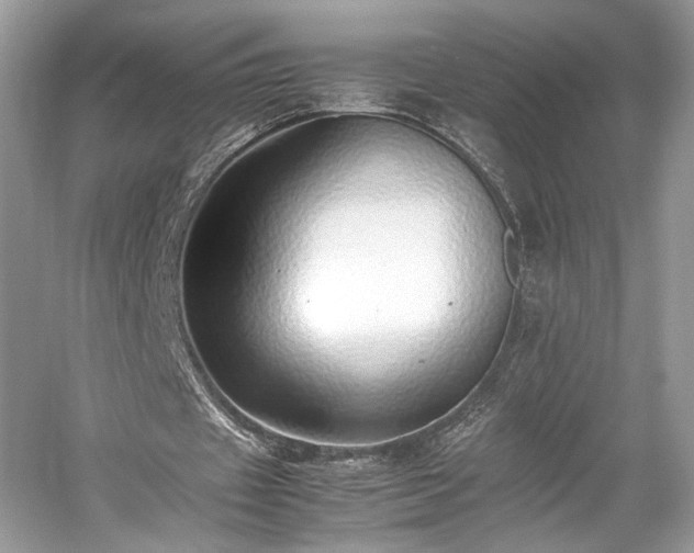 X0000059090433200510101148