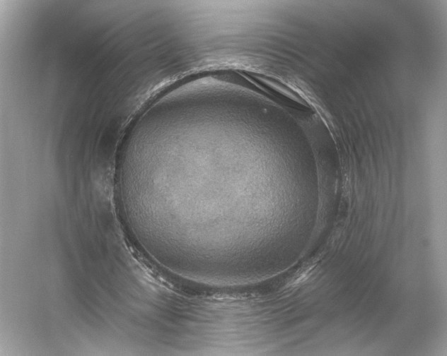 X0000059090434200510101149