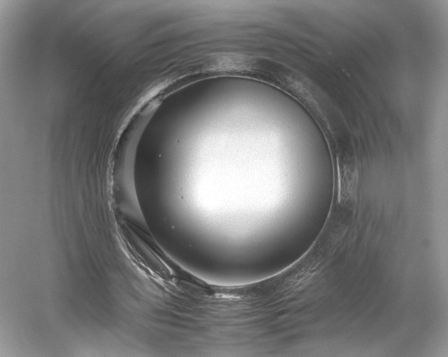 X0000059090435200510101149