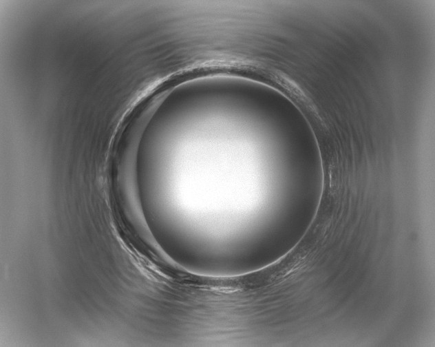 X0000059090436200510101149