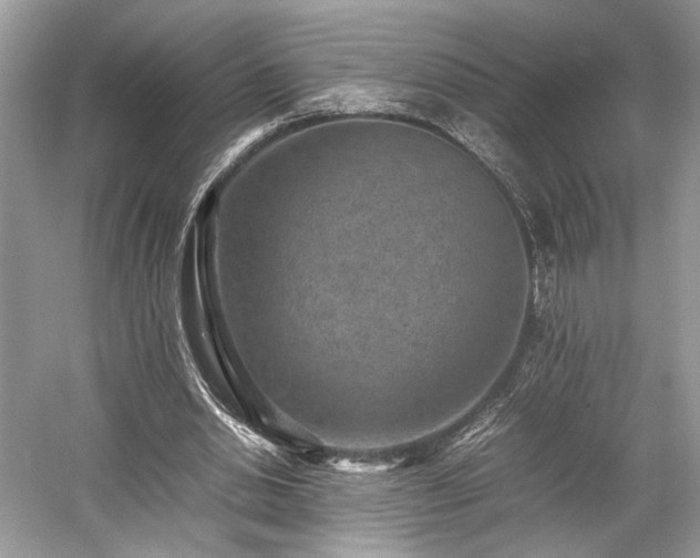 X0000059090438200510101149