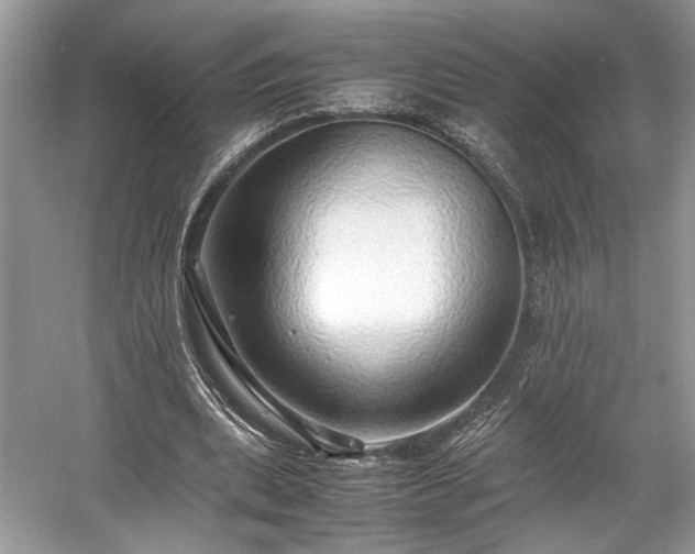 X0000059090439200510101149