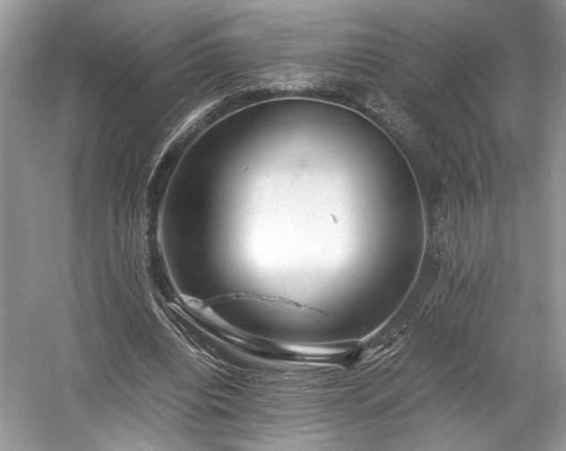 X0000059090440200510101149