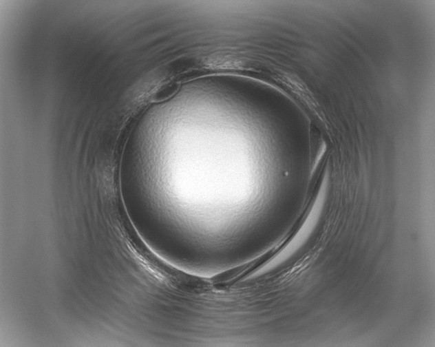 X0000059090441200510101149