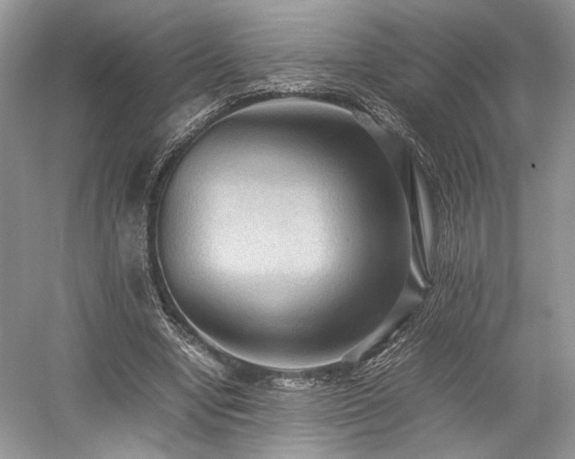 X0000059090442200510101149