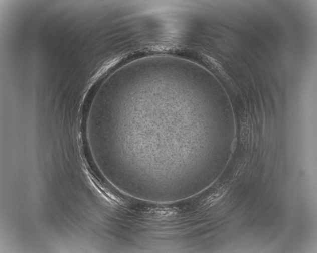 X0000059090443200510101149