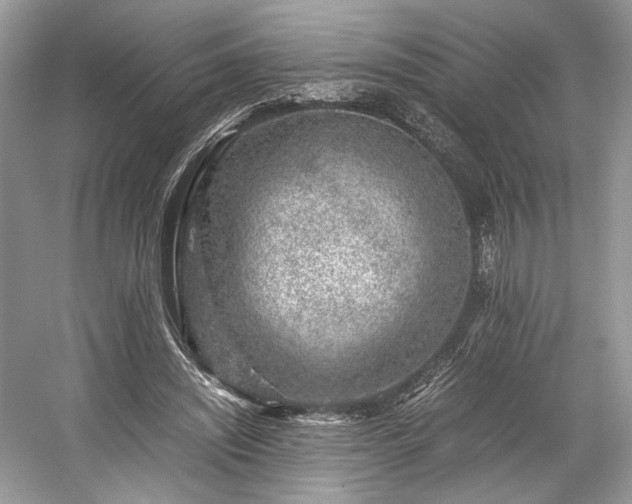 X0000059090444200510101149