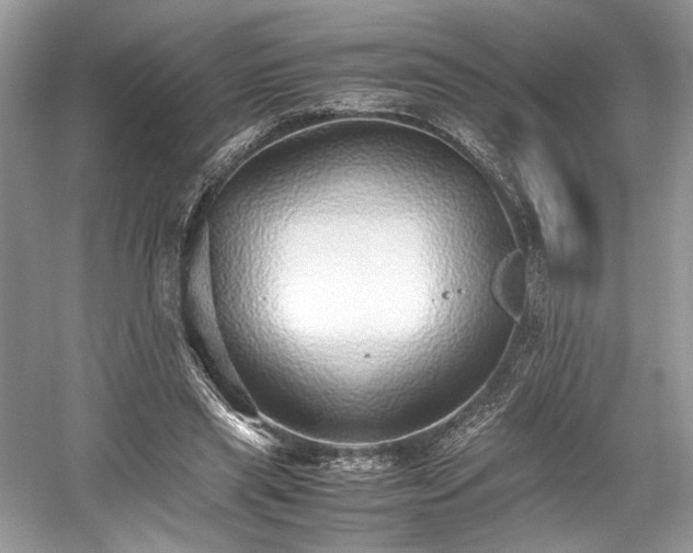 X0000059090445200510101149