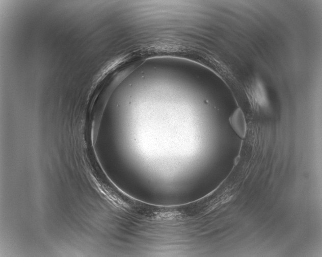 X0000059090446200510101149