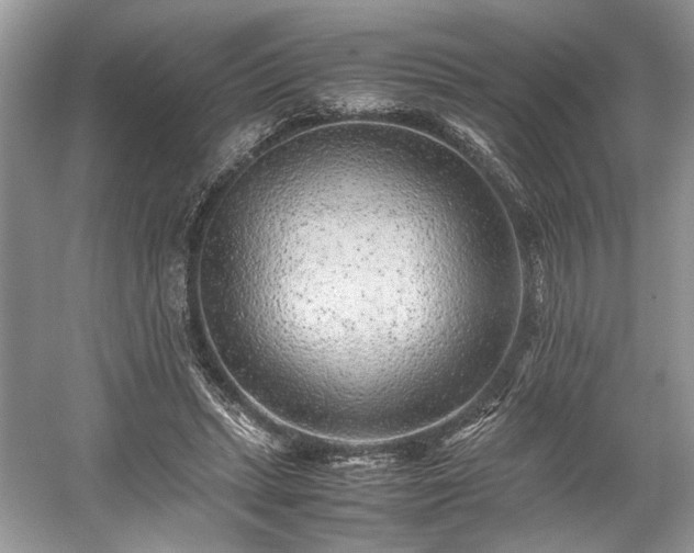 X0000059090447200510101149