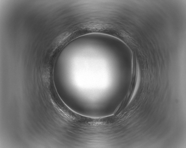 X0000059090448200510101149