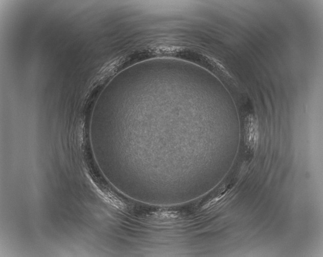 X0000059090451200510101149