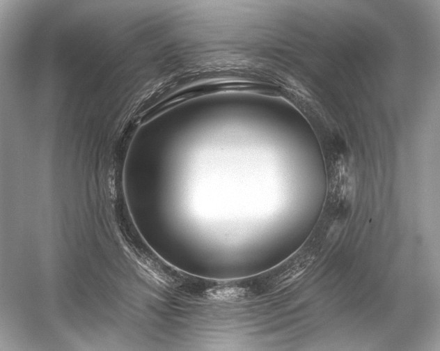 X0000059090452200510101149