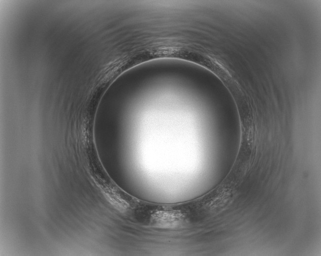 X0000059090455200510101149