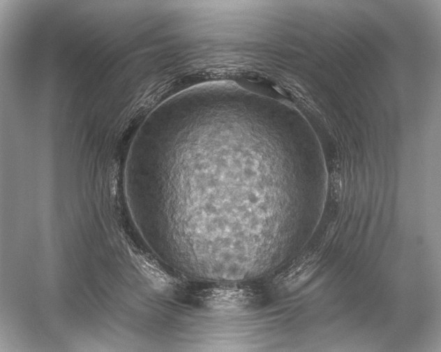 X0000059090458200510101149