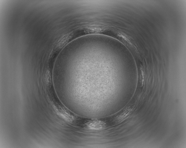 X0000059090459200510101149