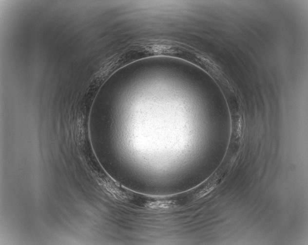 X0000059090461200510101149