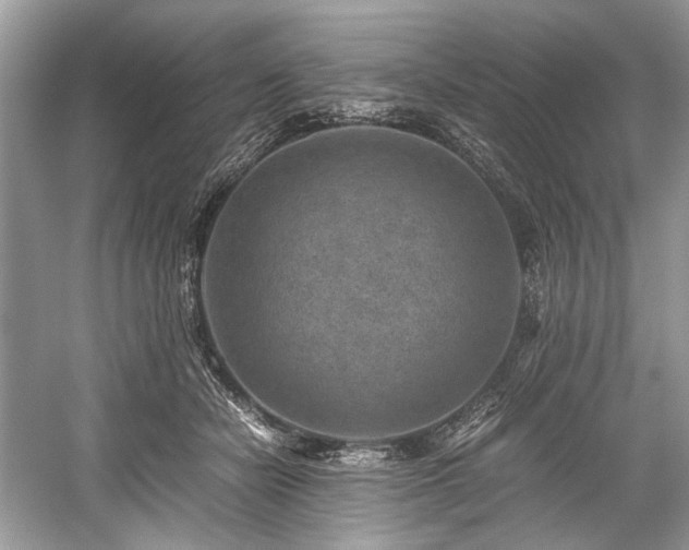 X0000059090462200510101149