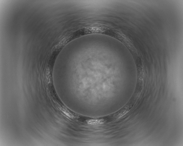 X0000059090465200510101149