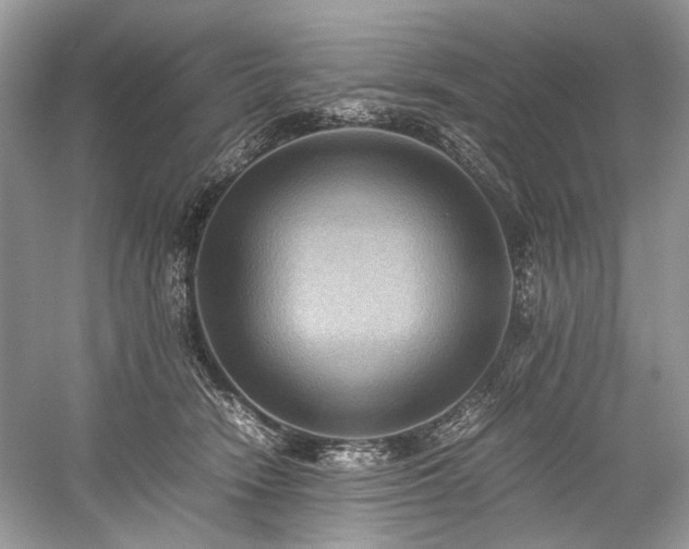 X0000059090466200510101149