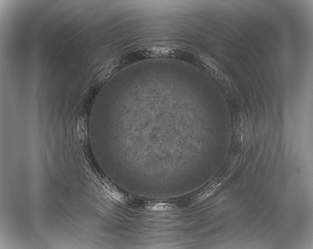 X0000059090467200510101149