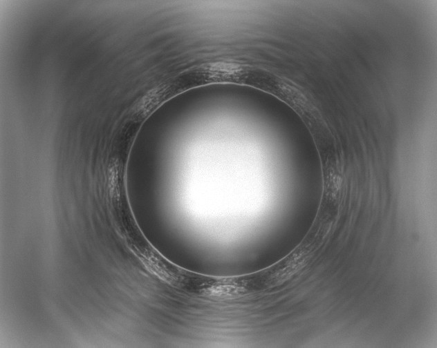 X0000059090468200510101149