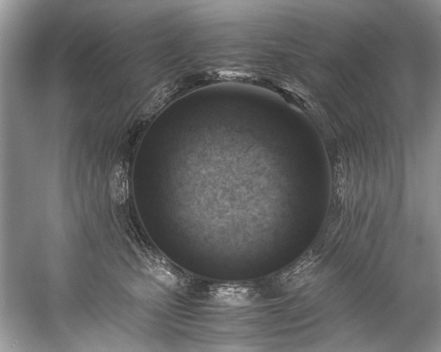 X0000059090471200510101149