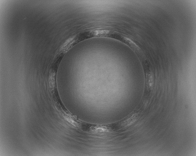 X0000059090475200510101149