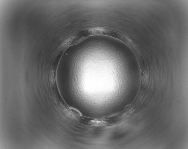 X0000059090477200510101149