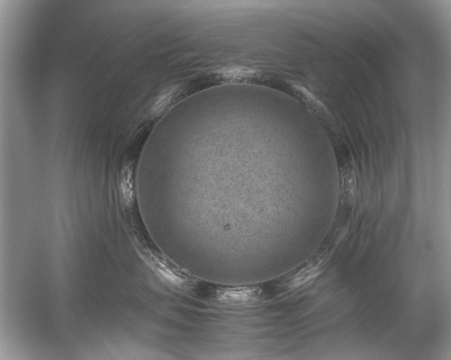 X0000059090479200510101149