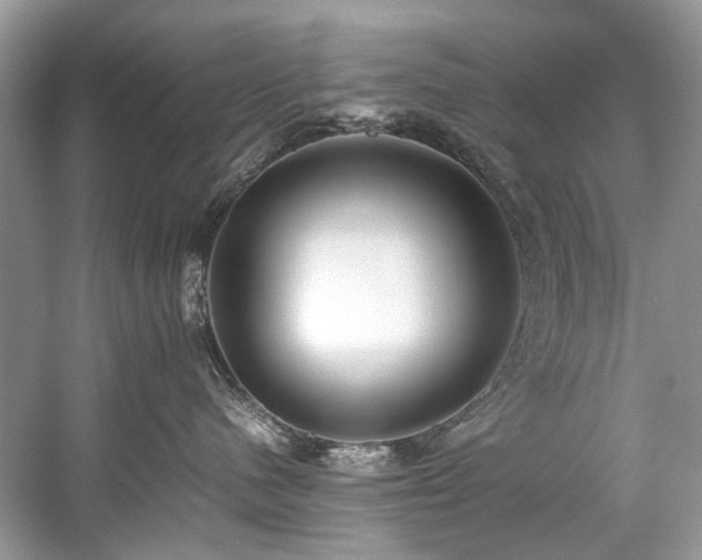 X0000059090480200510101149