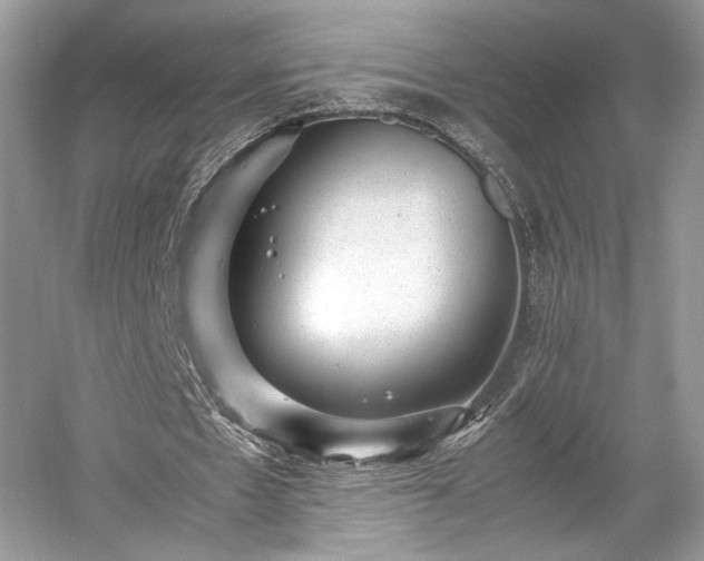 X0000059090481200510101148