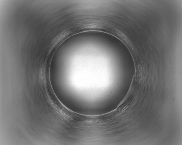 X0000059090482200510101148