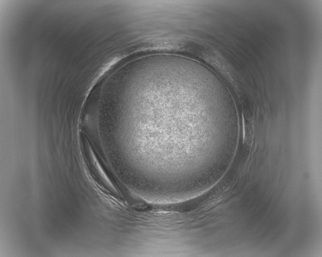 X0000059090483200510101148