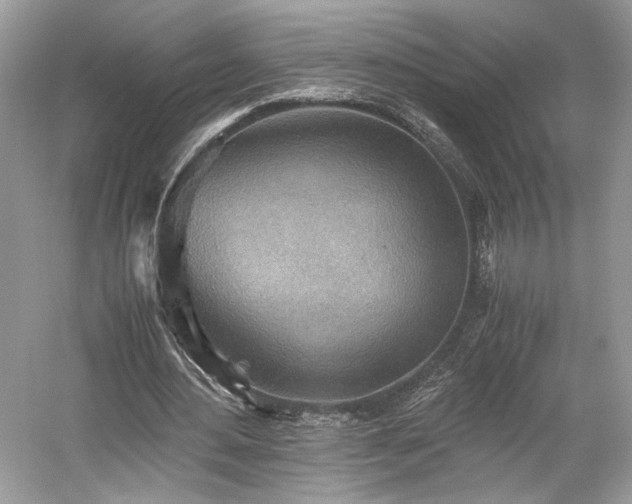 X0000059090484200510101148