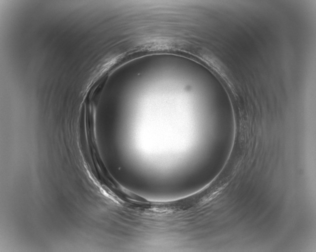 X0000059090485200510101148