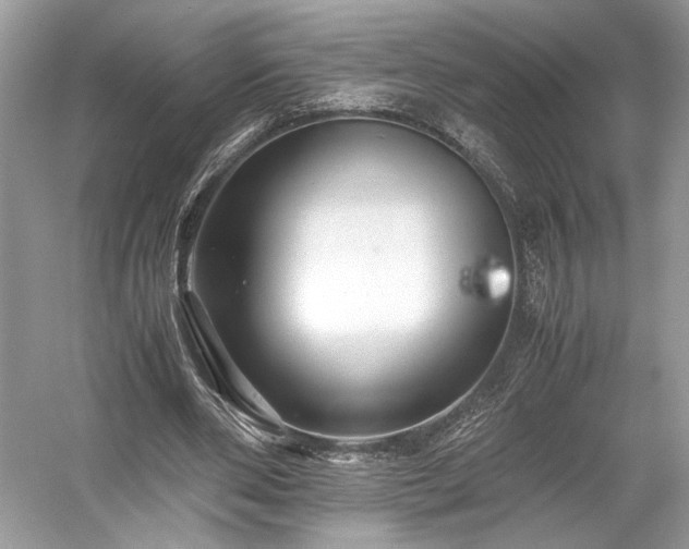 X0000059090486200510101148