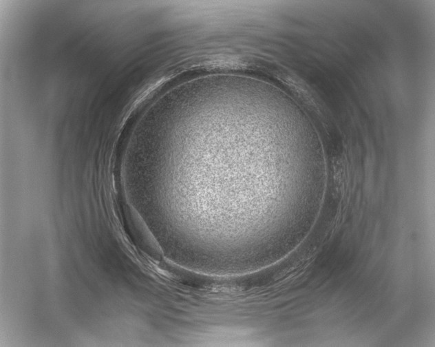 X0000059090487200510101148