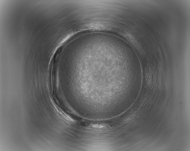 X0000059090488200510101148