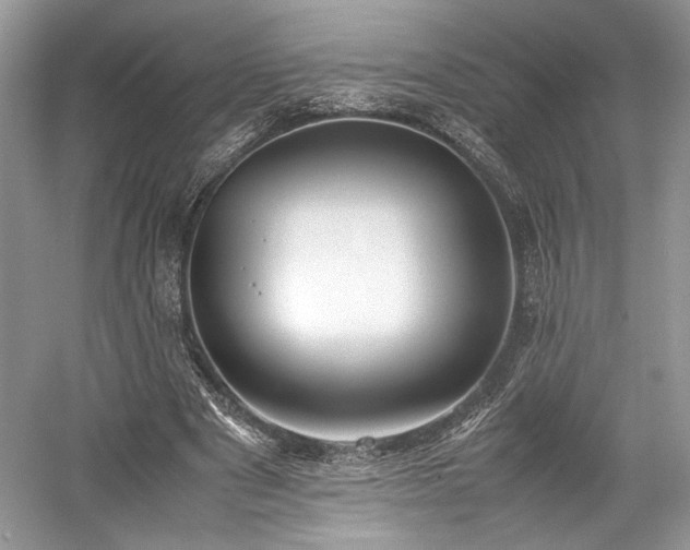 X0000059090489200510101148