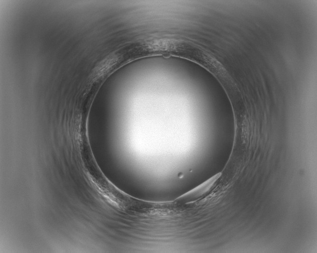 X0000059090490200510101148