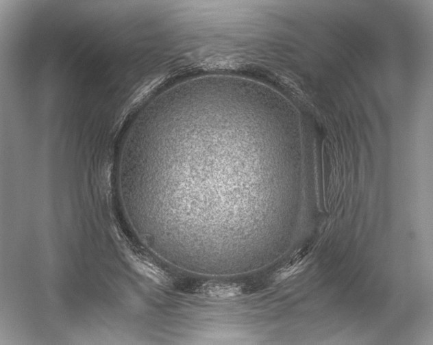 X0000059090491200510101148