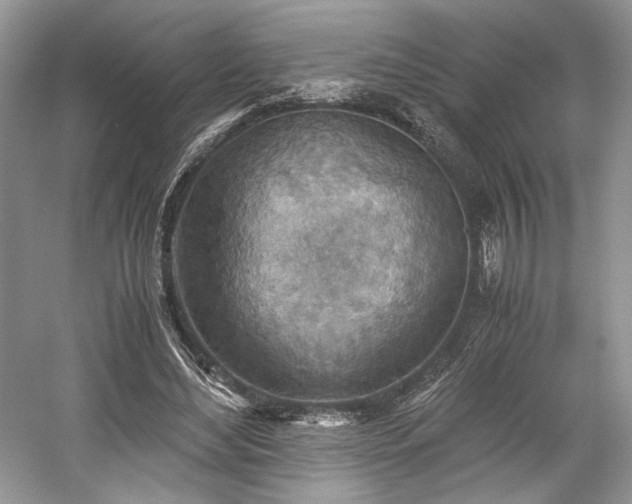 X0000059090492200510101148